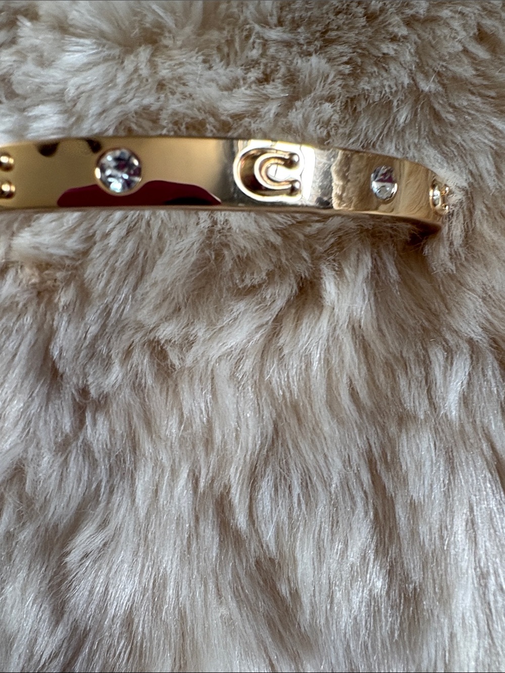 Coach Bracelet - Picture 10 of 11